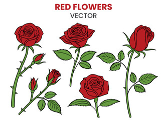 Elegant Red Rose Floral Vector Clip Art Isolated on White. Collection of Red Roses and Buds
