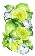 Fresh citrus Lime, mint and Ice cubes, crystal ice blocks. Hand painted watercolor illustration isolated on white background