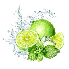 Fresh citrus Lime, mint leaves, Ice cubes and splash of crystal water. Hand painted watercolor illustration isolated on white background