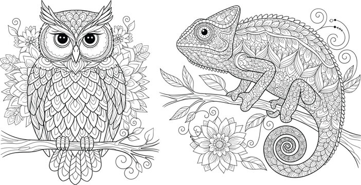 Intricate black and white line art vector illustration featuring highly detailed owl and chameleon with floral patterns for adult coloring book pages.
