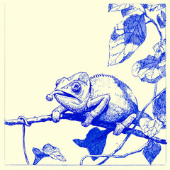 Blue Ink Illustration of a Chameleon on Branch