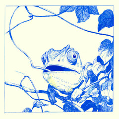 Blue Ink Illustration of a Chameleon on Branch