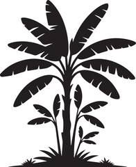 Elegant banana tree silhouette against a dark grayscale background