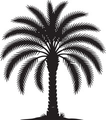 A striking silhouette of a date palm tree against a neutral background