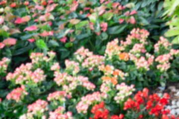 Green area relax outdoors garden with plants