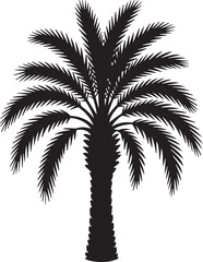 A striking silhouette of a date palm against a grayscale backdrop