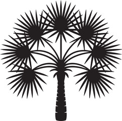 Detailed vector illustration of a fan palm tree design