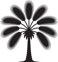 Detailed vector illustration of a fan palm tree created in adobe illustrator