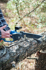 Hands of a lumberjack using a portable electric chainsaw to cut through a thick tree branch in the woods with sawdust flying