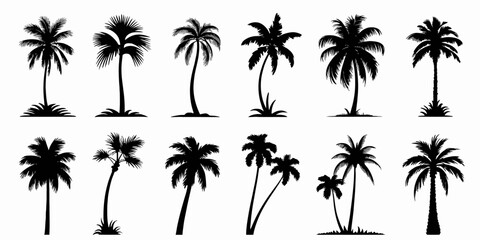 Naklejka premium Collection of Palm Tree Silhouette Icons for Island Travel, Summer Decor, and Coastal Branding