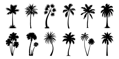 Fototapeta premium Set of Twelve Black Palm Tree Silhouettes for Tropical Beach Design and Summer Vacation Graphics