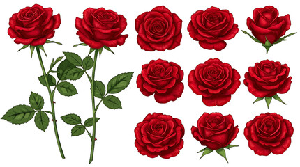 Obraz premium Collection of Red Roses with Green Leaves flower floral