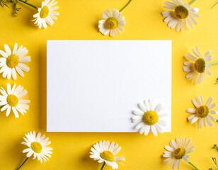 White paper card surrounded by chamomile flowers on yellow background. Template for greeting card, wedding invitation, spa or organic product design.