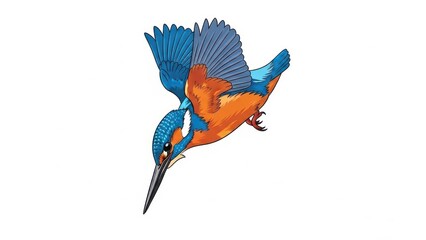 Illustration of a vibrant kingfisher diving.