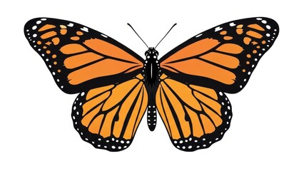 Vibrant monarch butterfly with open wings.