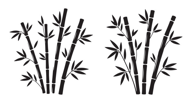 Black bamboo trees set isolated on white background. vector hand drawn decorative illustration
