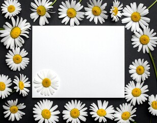 White paper card surrounded by chamomile flowers on black background. Template for greeting card, wedding invitation, spa or organic product design.