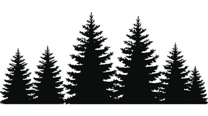 Fototapeta premium Silhouette of evergreen trees against a plain white background