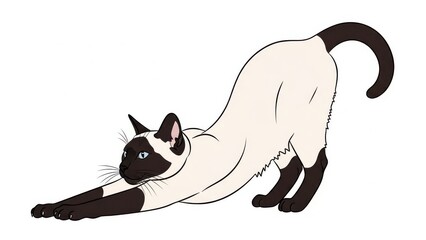 Illustration of a stretching Siamese cat.