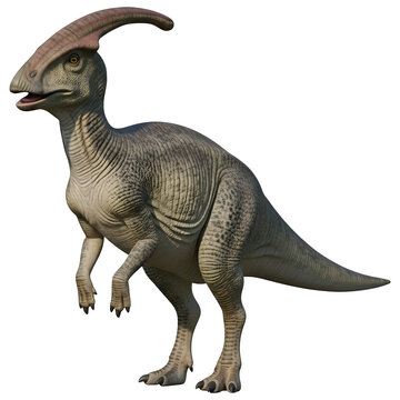 Parasaurolophus Dinosaur 3D Illustration Isolated on White Background"