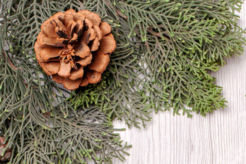 Natural Pine Cone on Green Evergreen Branch Over White Wooden Background