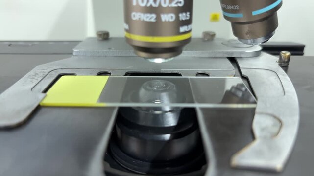 Placing a Yellow Microscope Slide on the Stage &ndash; Preparation Process (Centered Composition)