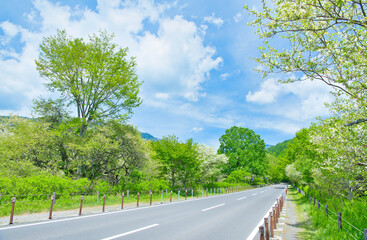 栃木県日光市　新緑の季節を迎える奥日光の戦場ヶ原と国道120号線