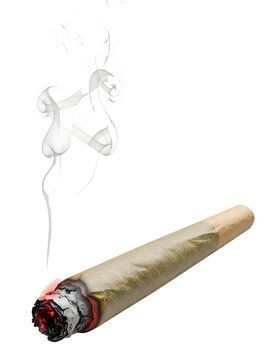 Rolled cannabis joint with burnt tip, realistic smoke detail, isolated on a white background
