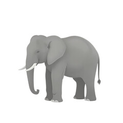 Obraz premium Gray elephant with raised trunk and tail