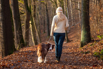 Fototapeta premium Woman and her adorable border collie dog enjoying walk in forest, playing and exercising and having fun