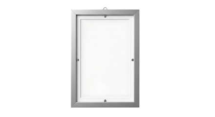 Modern frameless shower door