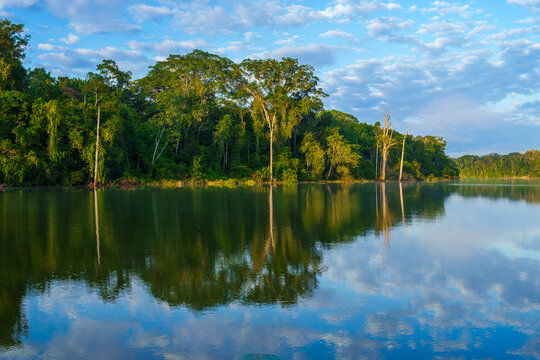 Cocha Salvador Manu Park | Sandoval Lake. Cocha Salvador Manu Park -It has a greater diversity of flora and fauna, it is located in the same manu reserve. amazonia rainforest. Beautifull sunrise.