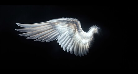 A single, glowing white wing emerges from darkness, displaying detailed feather structure