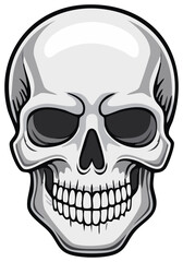 Fototapeta premium Stylized Human Skull Head Graphic Illustration for Halloween Decoration or Anatomy Study