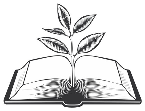 A new seedling sprouts from an open book representing knowledge growth and learning