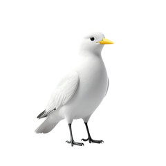 Fototapeta premium White bird with yellow beak and black legs.