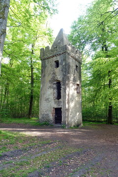 Klosterruine St. Wolfgang bei Hanau