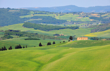 Val d'Orcia, pr&egrave;s de Pienza, Toscane, Italie