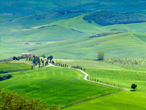 Tuscan landscape