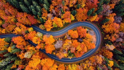 Aerial view of a winding road through vibrant autumn foliage.