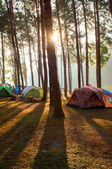 Peaceful Lakeside Camping at Sunrise with Morning Mist and Forest Reflections