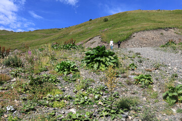 Two people hiking on rocky mountain slope with green hills