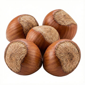 five whole hazelnuts in shell arranged in a tight, neat cluster