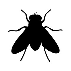 Isolated black fly insect silhouette vector illustration with detailed features