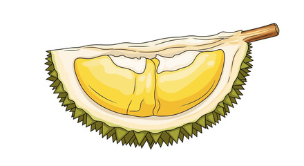 A close-up illustration of a ripe durian fruit slice, showcasing its creamy yellow flesh and spiky green rind.