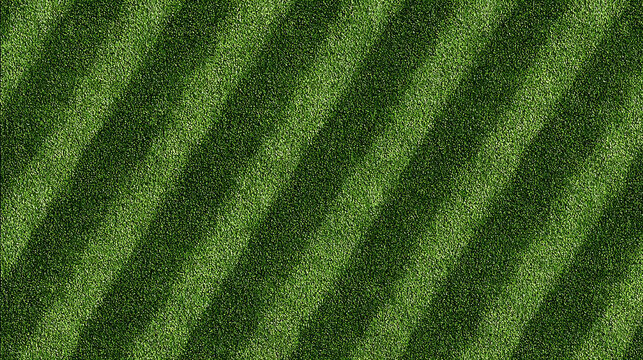 Diagonal Stripes on a Green Grass Field lawn turf
