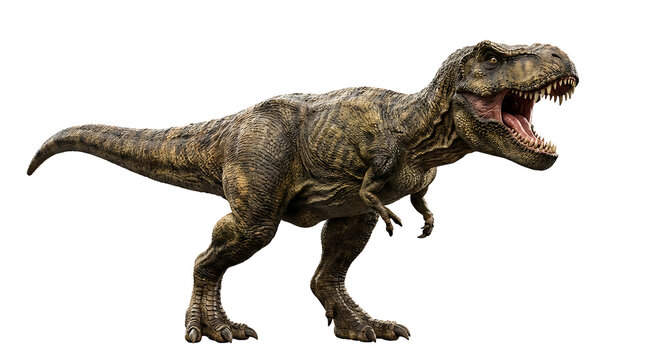A Tyrannosaurus Rex roars with its mouth open, showing its teeth. The dinosaur is isolated on a white background.