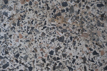 Polished Terrazzo Texture with Grey and Tan Stone Chips in Cement