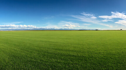 Panoramic View of a Vast Green Field Under a Blue Sky