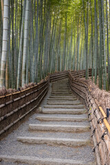 Serene stone steps ascend through the towering bamboo stalks of Arashiyama Bamboo Grove in Kyoto, Japan. Traditional woven fences line the tranquil, winding pathway, inviting exploration of this